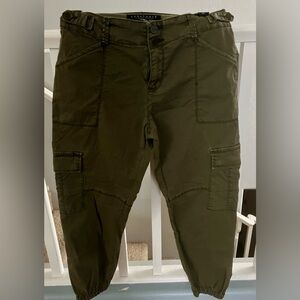 Sanctuary Standard Surplus pants